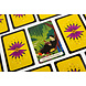 Boeken De wijsheid van de groene heks Boeken De wijsheid van de groene heks