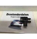 Partikelfiltersensor 9662143180 Peugeot 208 (1618Z9)