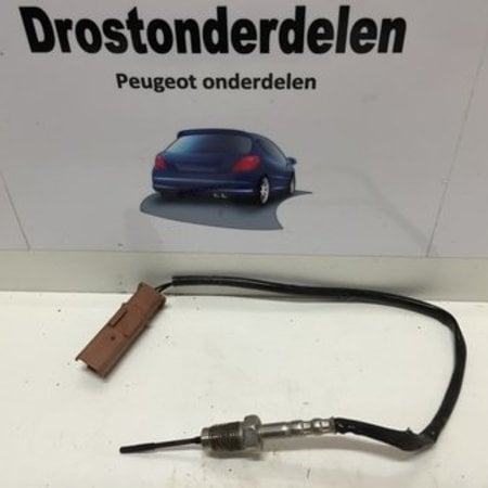 SENSOR TEMP. GAS 9665090280 Peugeot 208 (1618NF)