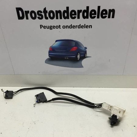 Dak Wegklapbaar Schakelaar Links Peugeot 307CC (8484L3)