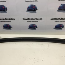 Dachgummi Mitte rechts Peugeot 206CC (842819)