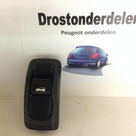 DAK SCHAKELLAAR 9637116777 PEUGEOT 206 CC (655476)