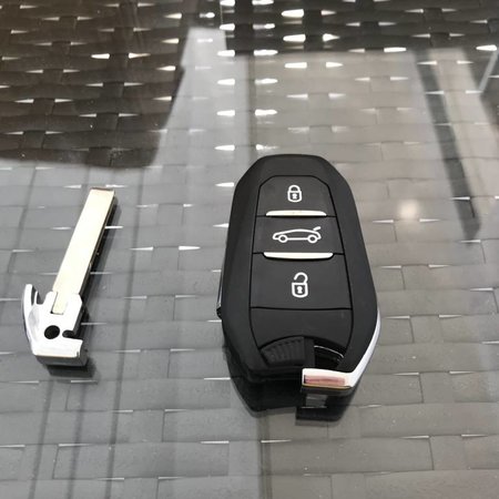 NEU Keyless gehen Schlüssel Peugeot Schlüssel mit Chip