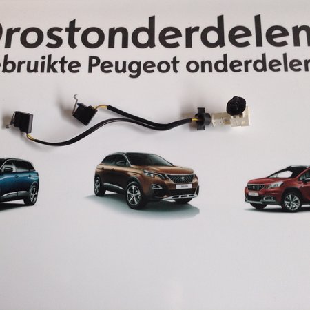 Dak weg klapbaar schakelaar  links    8446V8 peugeot 308 cc  cabrio