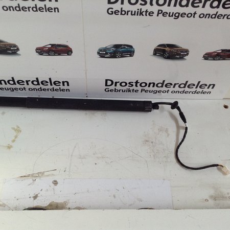 Elektrische hintere Gasdruckfeder Links 9830770280 Peugeot 3008 (P84E)