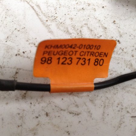 Telefoon Speaker 9812373180 Peugeot 208