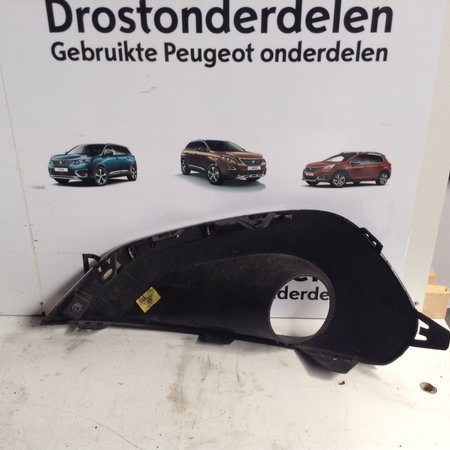 Abdeckplatte 9810738177 Nebelscheinwerfer rechts vorne Stoßstange in einem Peugeot 208