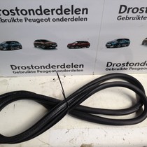 Deur Rubber Links-Achter 9815017480 Opel Grandland X