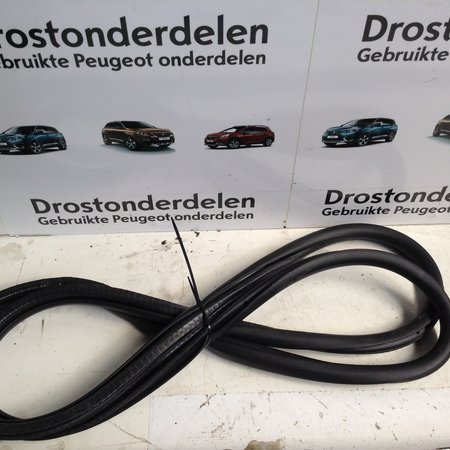 Deur Rubber Links-Achter 9815017480 Opel Grandland X