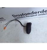 Voet van Antenne 9804058080 Peugeot 208