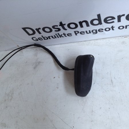 Foot of Antenna 9804058080 Peugeot 208