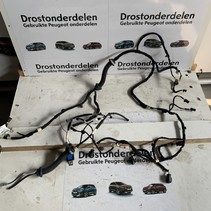 Innenzug Heckklappe mit Rückfahrkamera 9815250580 Peugeot 2008