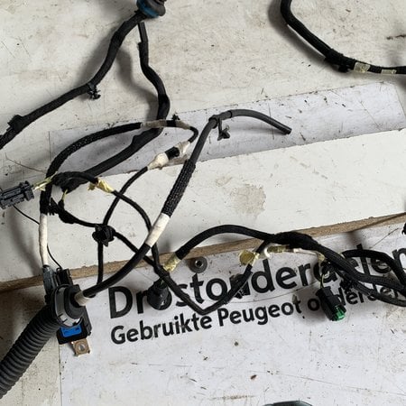 Binnen Kabel Achterklep Met Achteruitrijcamera 9815250580 Peugeot 2008