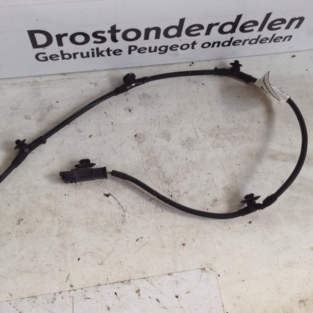 Keyless Entry Kabel 9817033180 Peugeot 3008 II