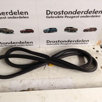 Deurrubber Links-Achter 9677519980 Peugeot 308 T9 5 Deurs