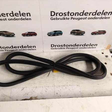 Deurrubber Rechts -Achter 9677519980 Peugeot 308 T9 5 Deurs