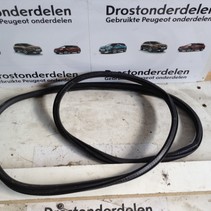 Deurrubber Links-Achter 9811538180 Peugeot 3008 II P84E