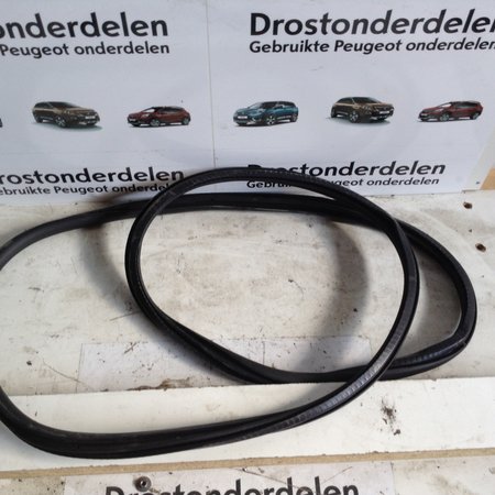 Deurrubber Links-Achter 9811538180 Peugeot 3008 II P84E