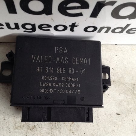 Parkeer Module  ECU 9661496880 Peugeot 207 (6590L5)