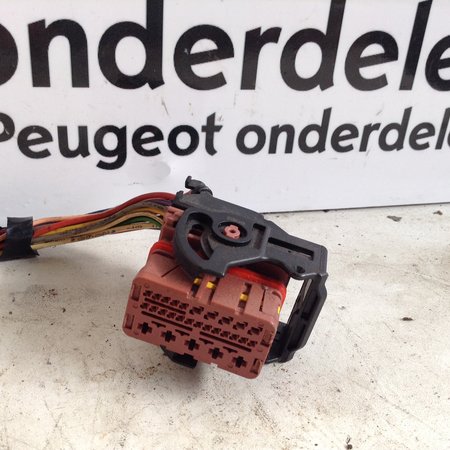 Plug From Engine Computer Peugeot 207