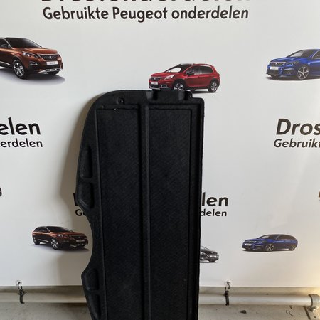 Hutablage 96551205ZD Peugeot 207