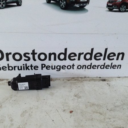 Window Module 440904A Peugeot 207CC Left Temic
