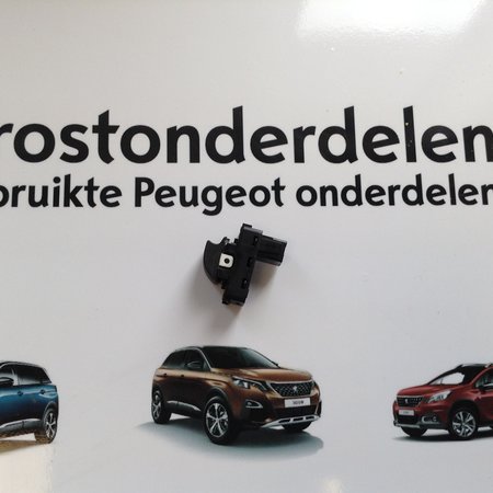 Dakschakelaar Cabrio Peugeot 207CC