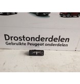 Kennzeichenbeleuchtung LED 9815226680 Peugeot 2008 II P24E