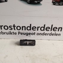 Kennzeichenbeleuchtung LED 9815226680 Peugeot 2008 II P24E