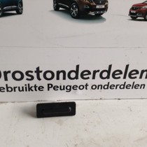 Achterklep Schakelaar 9820395580 Peugeot 2008 II P24E