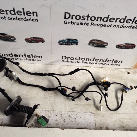 Deurkabel Links 9818877880 Peugeot 3008 II