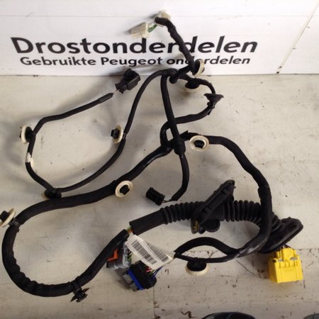 Deurkabel Rechts-Achter 9834129780 Peugeot 208 II P21E