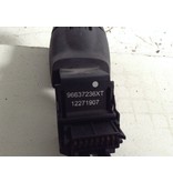 Cruise Control Hendel 96637236XT Peugeot 208