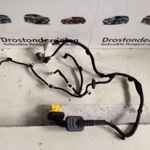 Door Cable Rear Left 9834129780 Peugeot 208 II P21E