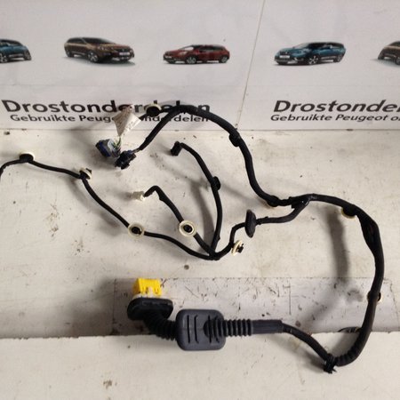 Deurkabel Links-Achter 9834129780 Peugeot 208 II P21E