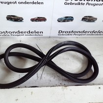 Deurrubber Links-Voor 9823214980 Peugeot 208 II P21E