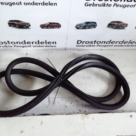 Deurrubber Links-Voor 9823214980 Peugeot 208 II P21E