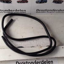 Rubber Schuif/Kanteldak 1658663380 Peugeot 208 II P21E