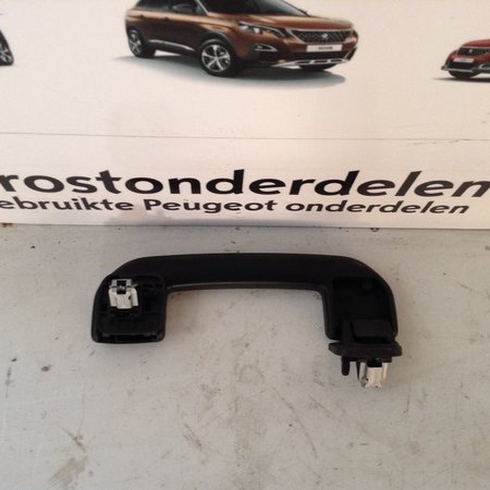 Handgreep Hemelbekleding 98012428ZD Peugeot 208 II P21E