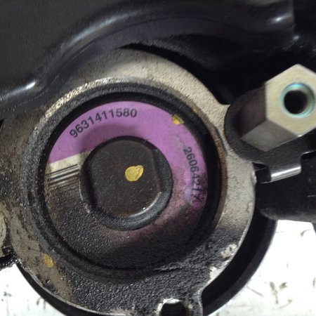 Power steering pump 9631411580 Peugeot 206