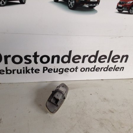 Peugeot 207 Blinker