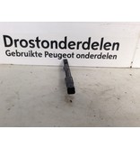 Schlüsselloser Zugangssensor 9824885480 Peugeot 208 II P21E