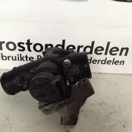 Gasklephuis Delphi  9660030480 Peugeot 307 (345E4)