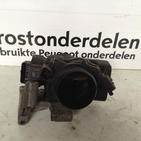 Gasklephuis Delphi  9660030480 Peugeot 307 (345E4)