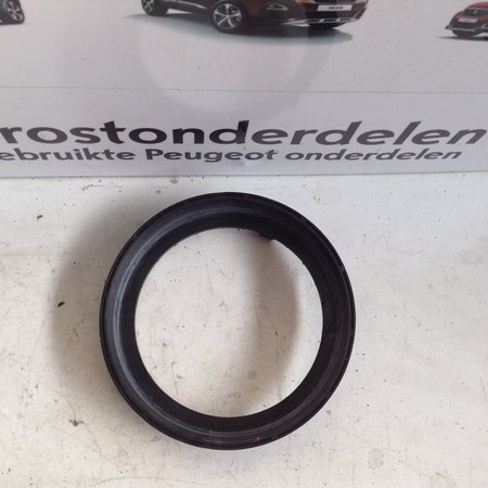 Brandstofpomp Afsluitring 9633283880 Peugeot 308