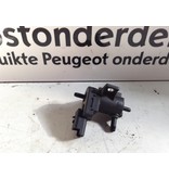 Vacuum pump 9665558580 Peugeot Expert