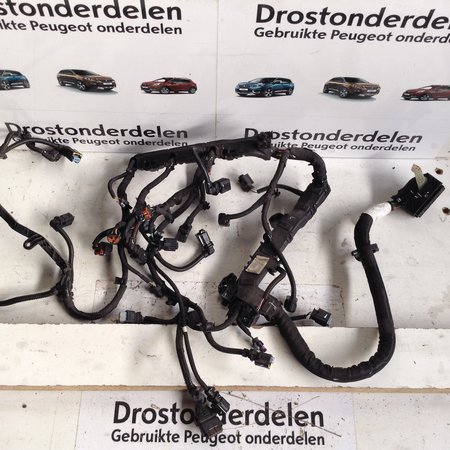 Wiring Harness Engine 9807341980 Peugeot 208