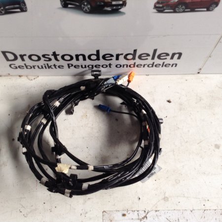 Navigation Cable 9800500980 Peugeot 2008