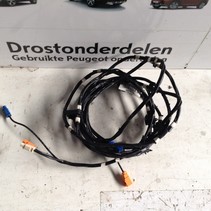 Navigatie Kabel 9800500880 Peugeot 208 / 2008  DAB  aansluiting