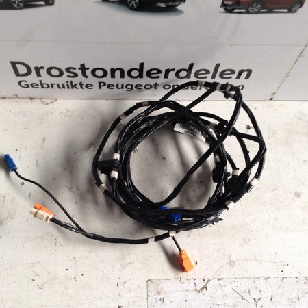 Navigatie Kabel 9800500880 Peugeot 208 / 2008  DAB  aansluiting